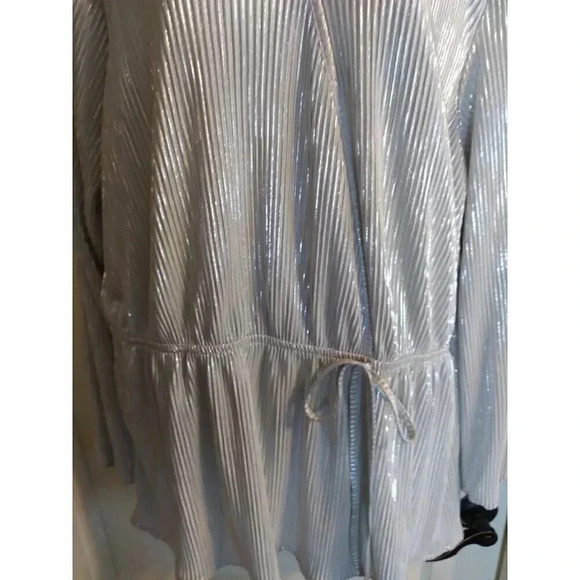 Jolie And Joy Top Silver Metalic Thread Elastic Waist Sz 2X - Picture 3 of 10